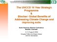 The UNCCD 10 Year Strategic Programme PowerPoint PPT Presentation