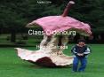 Claes Oldenburg PowerPoint PPT Presentation