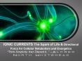 IONIC CURRENTS The Spark of Life PowerPoint PPT Presentation
