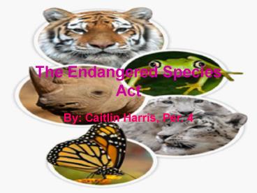 The Endangered Species Act presentation | free to view