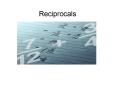 Reciprocals PowerPoint PPT Presentation