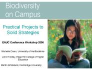 Practical Projects to Solid Strategies