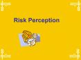 Risk Perception PowerPoint PPT Presentation
