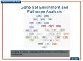 Gene Set Enrichment and Pathways Analysis PowerPoint PPT Presentation