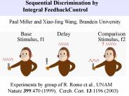 Sequential Discrimination by     Integral FeedbackControl