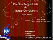 Z0/?*(?l l-) jet                                                   Made in LANL
