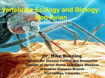 Vertebrate Ecology NonAvian