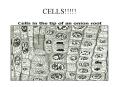 CELLS PowerPoint PPT Presentation