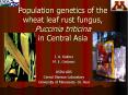 Population genetics of the wheat leaf rust fungus, Puccinia triticina in Central Asia PowerPoint PPT Presentation