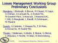 Losses Management Working Group Preliminary Conclusions PowerPoint PPT Presentation