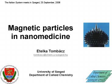 Magnetic particles in nanomedicine