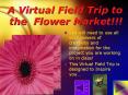 A Virtual Field Trip to the Flower Market!!! PowerPoint PPT Presentation