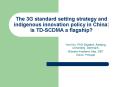 The 3G standard setting strategy and indigenous innovation policy in China: is TD-SCDMA a flagship? PowerPoint PPT Presentation