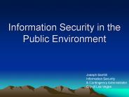 Information Security in the Public Environment