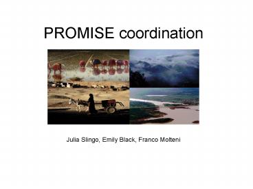 PROMISE coordination