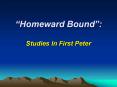 Homeward Bound: Studies In First Peter PowerPoint PPT Presentation