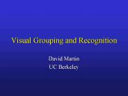 Visual Grouping and Recognition