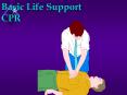 Basic Life Support CPR PowerPoint PPT Presentation