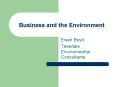 Business and the Environment PowerPoint PPT Presentation