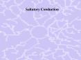 Saltatory Conduction PowerPoint PPT Presentation