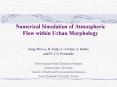 Numerical Simulation of Atmospheric Flow within Urban Morphology PowerPoint PPT Presentation