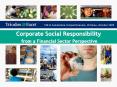 Corporate Social Responsibility from a Financial Sector Perspective PowerPoint PPT Presentation
