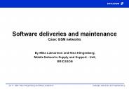 Software deliveries and maintenance Case: GSM networks