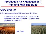 Production Risk Management: Running With The Bulls