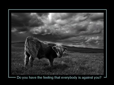 Eine kleine Aufmunterung