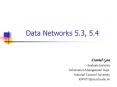Data Networks 5'3, 5'4 PowerPoint PPT Presentation