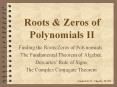 Roots%20 PowerPoint PPT Presentation