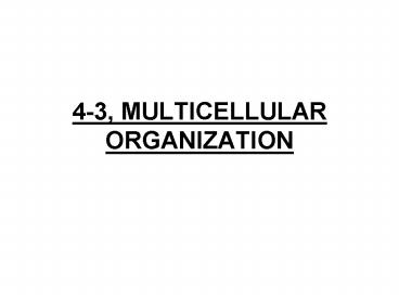 43, MULTICELLULAR ORGANIZATION