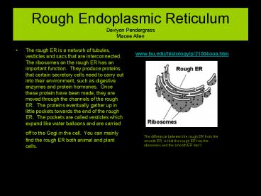 Rough Endoplasmic Reticulum Deviyon Pendergrass Macee Allen