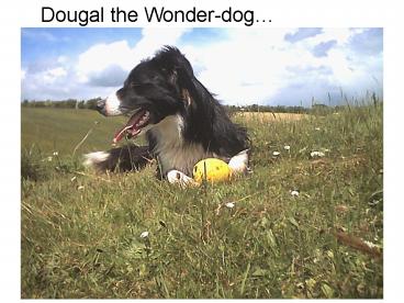 with Hamish and his herd of friends explains