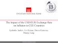 The Impact of the USDEUR Exchange Rate on Inflation in CEE Countries PowerPoint PPT Presentation