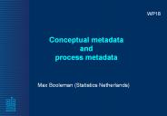 Conceptual metadata and process metadata
