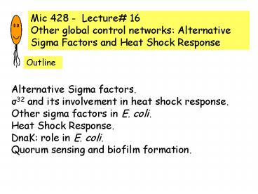 presentation player overlay