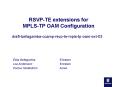 RSVPTE extensions for MPLSTP OAM Configuration PowerPoint PPT Presentation