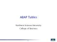 ABAP Tables PowerPoint PPT Presentation