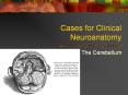 Cases for Clinical Neuroanatomy PowerPoint PPT Presentation