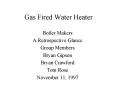 Gas Fired Water Heater PowerPoint PPT Presentation