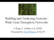 Building and Analyzing GenomeWide Gene Disruption Networks