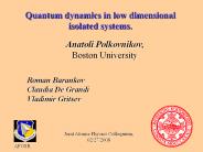Quantum%20dynamics%20in%20low%20dimensional%20isolated%20systems.