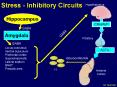 Stress Inhibitory Circuits PowerPoint PPT Presentation