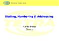 Dialling, Numbering PowerPoint PPT Presentation