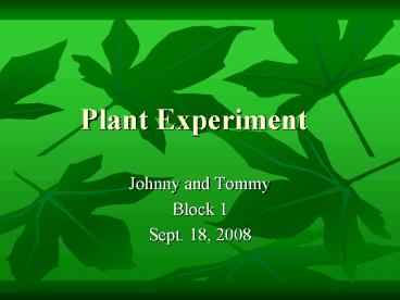Plant Experiment
