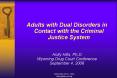 Adults with Dual Disorders in Contact with the Criminal Justice System PowerPoint PPT Presentation