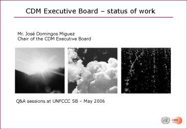 CDM Executive Board 