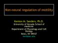 Nonneural regulation of motility PowerPoint PPT Presentation