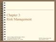 Chapter 3: Risk Management PowerPoint PPT Presentation